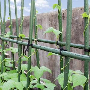 Wholesale Green Plastic Coated 60cm Metal Garden Stake For Plant Support from china suppliers