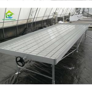 Wholesale Ebb And Flow Vertical Grow Flood Table Film Greenhouse Rolling Benches from china suppliers