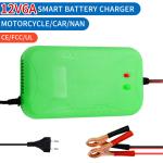 Popular model 12V 6A 12V 5A 8A 10A 12A 20A Motorcycle Car Pulse Repair Lead acid