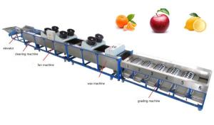 Wholesale apple cleaning, fan drying, waxing, grading machine, apple sorting machine from china suppliers