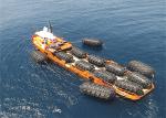 STS Customized Pneumatic Marine Fender Long Lifespan With Chain Tyres Net