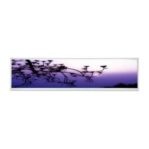 Wholesale BOE 48 inch DV480FBM-N00 3840×720 stretched bar lcd panel module from china suppliers