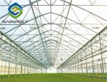 Hot Galvanized Steel 8m Polyethylene Film Greenhouse