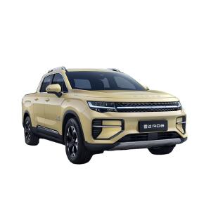 Wholesale 2023 2024 Geely Ev Car Radar RD6 4 Doors 5 Seaters Pick Up Long Range Electric Pickup Truck 4x4 4wd Cars 5260*1900*1830mm from china suppliers