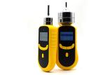 Ambient Air Portable Pumping 0-1000ppm CO Gas Detector