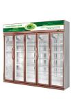 Multipurpose Commercial Display Freezer 5 Layers Beverage Cooler