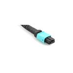 8 / 12 / 24 Core MPO MTP Cable Connector Fiber Cable Mtp Cassette 3 Years