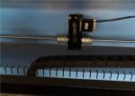 Acrylic Mini Laser Cutting Machine Taiwan HIWIN Rails Laser Marking Equipment