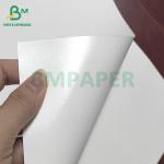 OEM ODM White Cup Stock Paper Board PE Coated For Paper Cup Paper Bowl