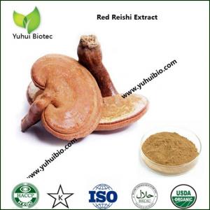 China reishi mushroom extract triterpene,glossy ganoderma extract,organic ganoderma extract on sale