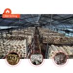 Manual or Electric Roll Up Ventilation Agricultural Polythene Film Covered
