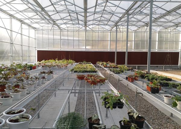 High Transparency & Durable PC Material, Spacious Interior PC Greenhouse - Ideal