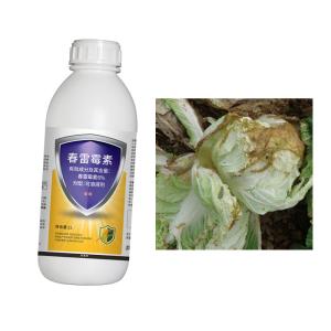 Wholesale 6% Kasugamycin SC Agricultural Bactericide Prevent Cure Soft Rot Chinese Cabbage Potato Black Leg from china suppliers