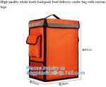 high quality whole foods backpack food delivery cooler bag with custom logo,
