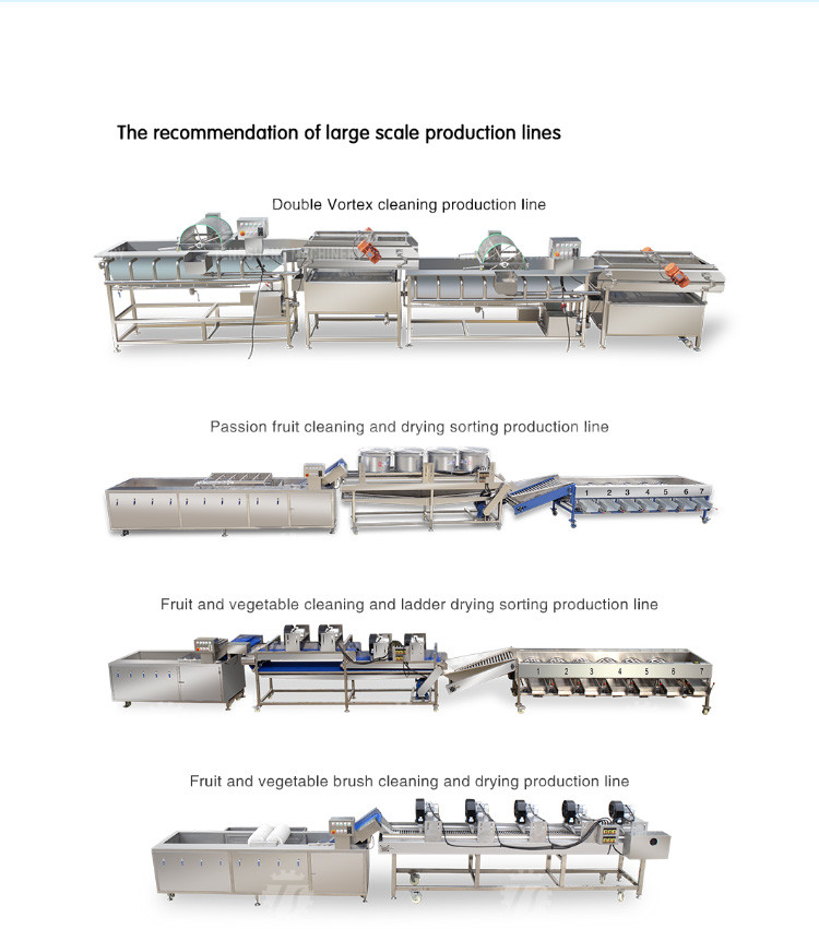 1200KG/H Industrial Vortex Bubble Vegetable Washing Machine Food Washer