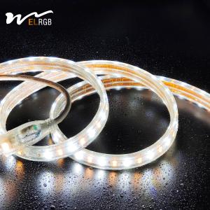 Wholesale Outdoor LED Light Strip 110V 220V Double Rows White and Warm White Dual Color with Dimmer Support from china suppliers