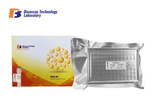 Wholesale 2.56 Pg / Ml Sensitivity Elisa Assay Kit For Rat Fibroblast Growth Factor - 23 from china suppliers