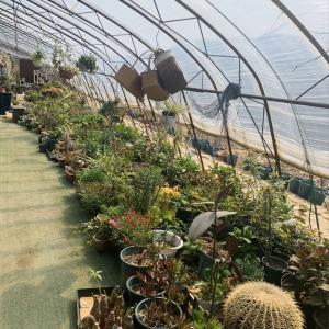 Wholesale Steel Structure Flower Planting Drip Irrigation System with 30-Day Return Refunds from china suppliers
