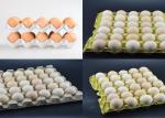 Paper Egg Tray Manufacturing Machine / Pulp Molding Machine 2 Years Warranty