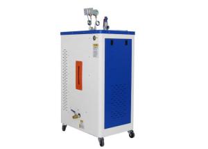 Wholesale Compact Size Portable Electric Steam Generator Safety Science Structure from china suppliers