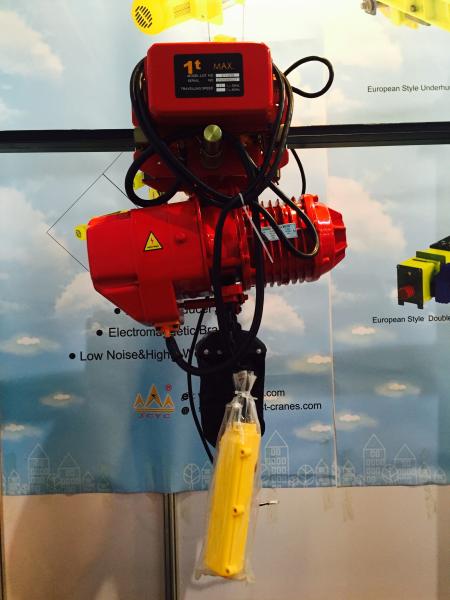 Running Type Electric Chain Hoist 220v with Trolley Leading Crane For Lifting
