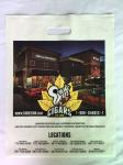 Merchandise Die Cut Handle Bags Custom Logo Printing Personalized Plastic Bags