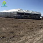 Multi Span 10.8m Light Deprivation Greenhouse DIY Gutter Connected Greenhouse