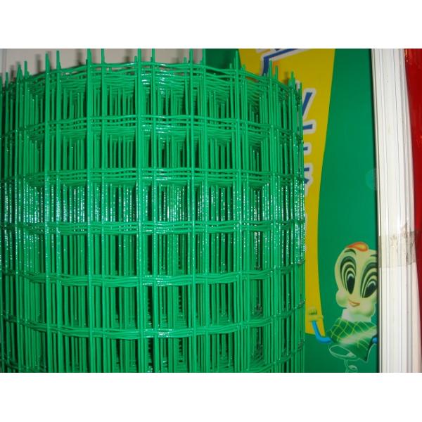 25mm Pvc Welded Wire Mesh Protection Of Plants Gardens Pets Vegetables