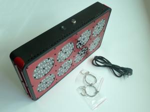 Wholesale greenhouse lighting indoor culture grow lights CIDLY LED 8 model, 300w led grow light from china suppliers