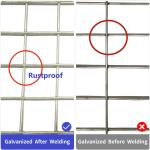 PVC plastic coated welded wire mesh Iron Wire Mesh