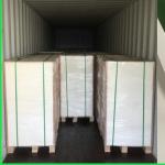 100 % Wood Pulp Customized C1S Ivory Paper Board Fold 250gsm