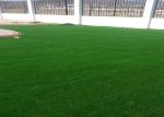 25MM Pile Height Indoor Artificial Grass double S Shape Landscaping Artificial