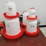1.5kg 2.5kg 6kg 10kg Farm poultry broiler chicken drinkers and feeders
