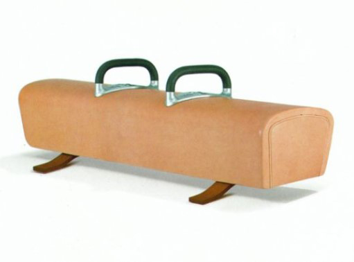 Fig Approval Gymnastics Smj Kunstturnen Xpe Foam Competition Pommel Horse