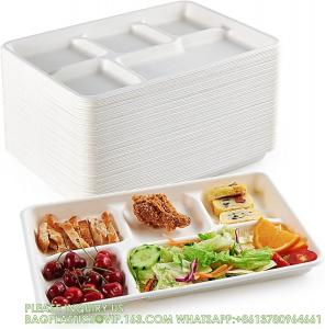 China 5 Compartment Plates, 125 Pack Disposable Paper Plates, Biodegradable Sugarcane Plates, Eco-Friendly School on sale