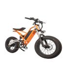 Rear Hub Motor 750w High Speed Dirt Bike Off-Road Electric Fat Tire Bike