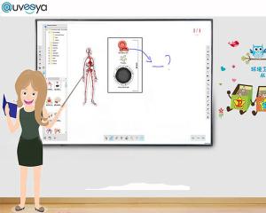 Wholesale OEM Digital Interactive Screen Whiteboards 20 Points Touch from china suppliers