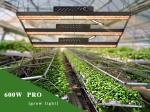 IP20 1560Umol/s UV IR LED Grow Light 600w V4 Samsung Lm301h AC277V