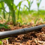 Agricultural Greenhouse Irrigation System / Greenhouse Boom Irrigation Systems