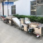 Hot selling China Factory Seller Washing Machine Fruit Conveyor by Huafood