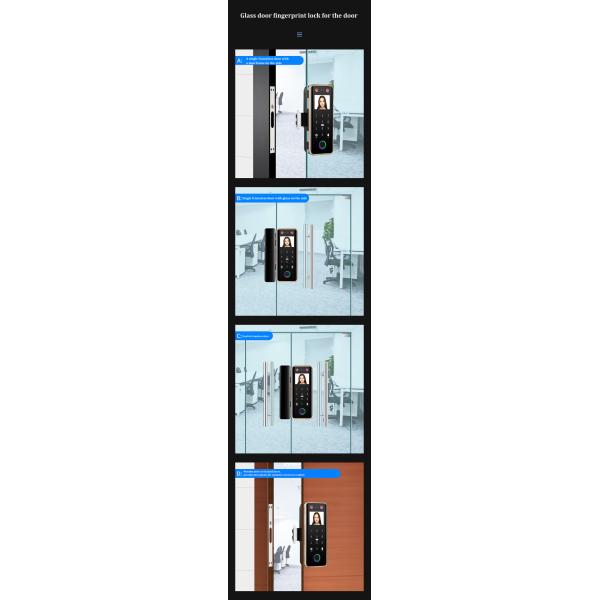 G5S Face Recognition Fingerprint Card Passcode Electronic Glass Door Lock for Office