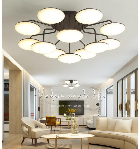 Quality High quality 2-year quality acrylic indoor ceiling lamp with simple atmosphere for sale