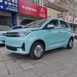 25 kw motor new style electric vehicle 100km/h high speed electric car made in