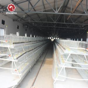 Wholesale A Type 3 Tiers Meat Broiler Baby Chick Cage 13 Chicks/Cell from china suppliers