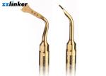Home Dental Ultrasonic Scaler , Ultrasonic Tips Dental Hygiene Gold Plated