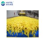 Automatic Industrial Frozen French Fries Production Line 50kg/H 100kg/H 500kg/H