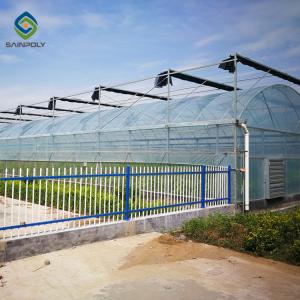 Wholesale Horticultural Toughened Glass Greenhouse 9.6m / 10.8m / 12m Span from china suppliers