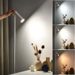 Floor Lamp Modern Slim Design Reading Light LED Floor Lamps for Bedroom Living