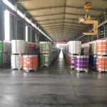 Cutting Service 700-1200MM Width Cold Galvanized Color Coated Steel Coil PPGI