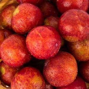 Wholesale Stainless Steel Plums Sorting And Grading Machine 380V / 50Hz from china suppliers